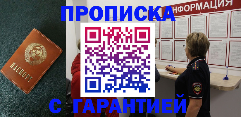 временная регистрация госуслуги в Щёлково